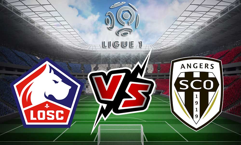 صورة مشاهدة مباراة ليل و أنجيه بث مباشر 13/11/2022 Lille vs Angers SCO